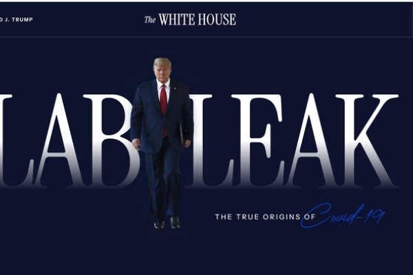 网页挂马实验报告-猫山树