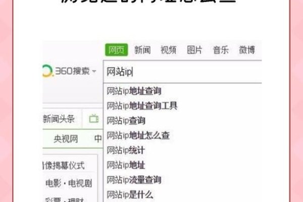网页解析查询技巧-猫山树