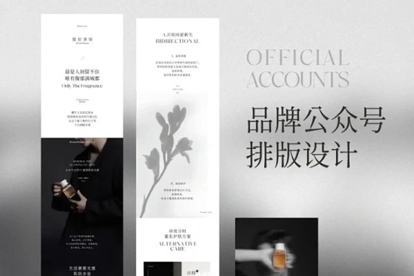 网页设计公司的核心职责，传达企业信息与塑造品牌调性氛围-猫山树