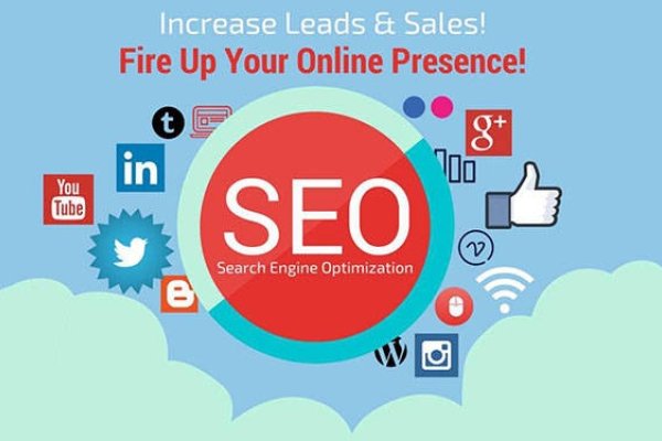 网络SEO优化推荐，提升网站排名的关键策略-猫山树