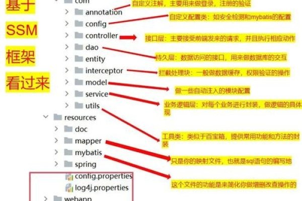 网站解析目录，构建与优化的关键要素-猫山树