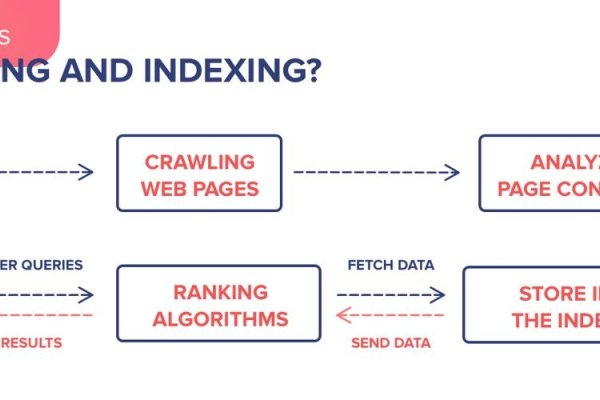 网站收录定义，指内容被搜索引擎索引并存储的过程-猫山树