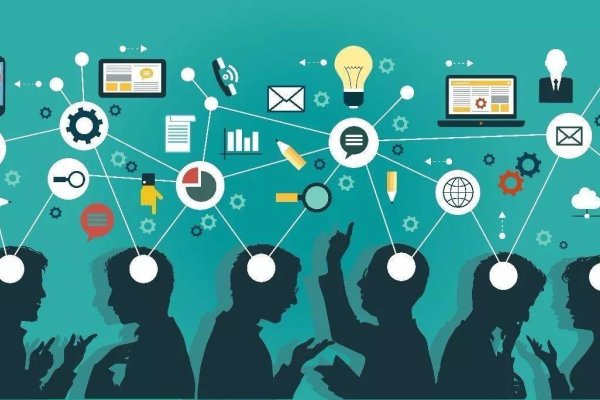 网站维护团队，保障网站稳定运行的中坚力量-猫山树