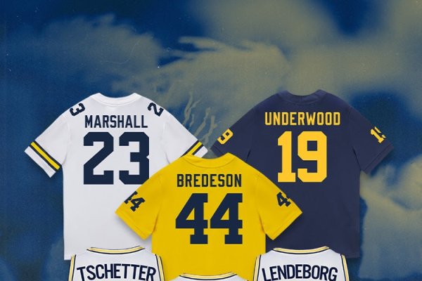 西部数码APP域名，探索数字世界的西部宝藏-猫山树