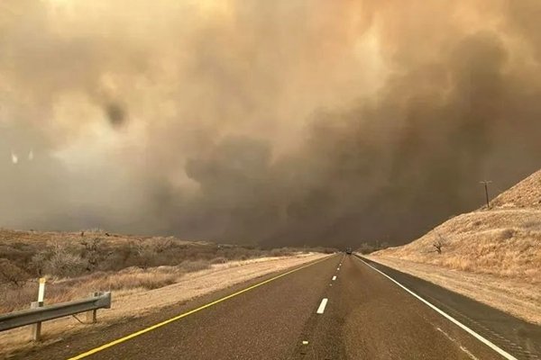 小城房产网运营-猫山树