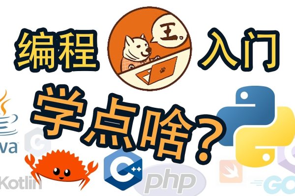 编程入门速成法-猫山树