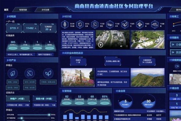 罗村容桂网站建设，探索数字化未来-猫山树