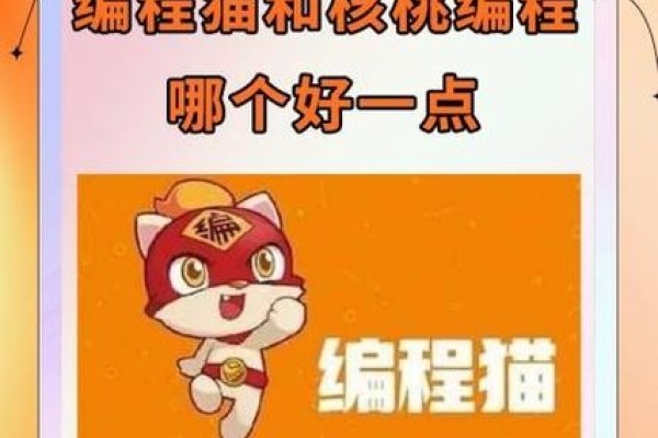 编程猫app注册指南-猫山树