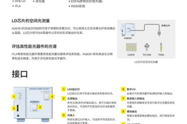 免费IPSec服务器地址，探索与解析-猫山树