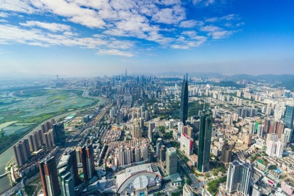 罗湖网站建设推荐-猫山树