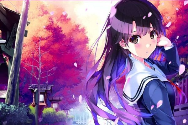 樱花岛VPS，探索虚拟世界的神秘之地-猫山树