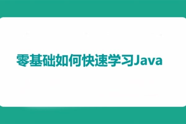 零基础学Java，入门语法与知识要点解析-猫山树