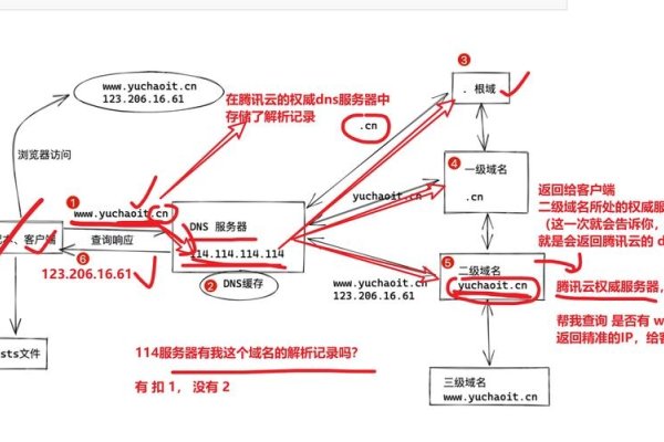 域名采用什么结构（域名采取什么结构）-猫山树