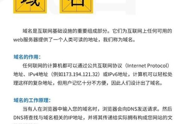 域名解析定义-猫山树