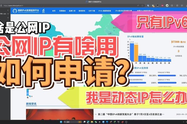 购买域名后如何绑定公网IP-猫山树