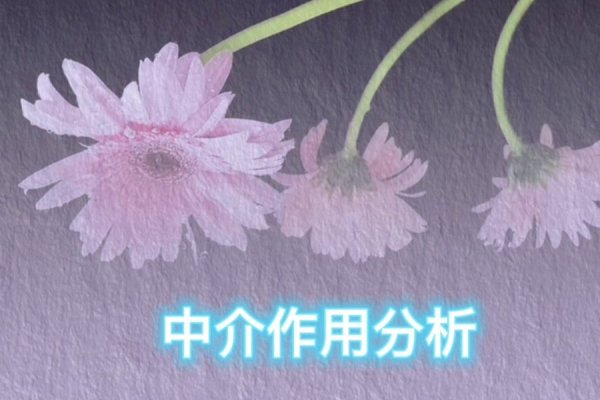 域名中介的角色与职责,解析域名中介的业务流程与角色定位-新乐天