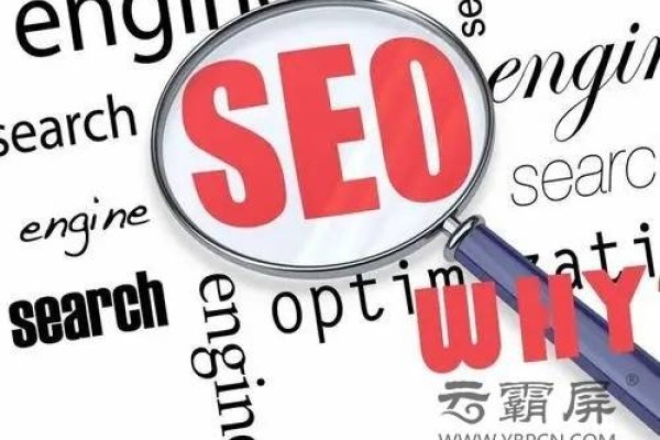 南通网站优化与推广、SEO排名提升及专业团队介绍-猫山树