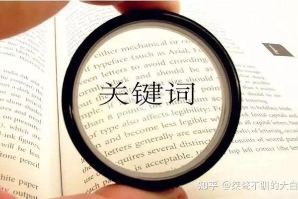 掌握搜索网站关键字的方法—提升搜索效率的关键-猫山树