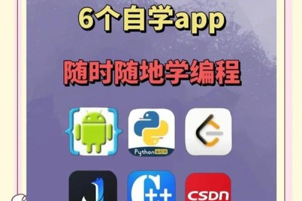 学编程的App，开启编程之路的得力助手-猫山树