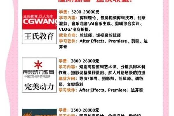 南京短视频制作服务公司简介-猫山树