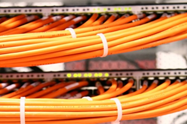 温州电信服务器的优势与应用-猫山树