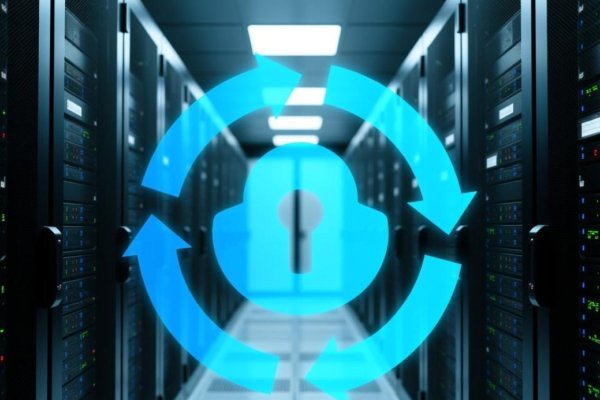 虚拟机备份，保障企业数据安全的关键-猫山树