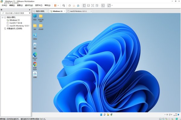 虚拟机价格解析，如何选择适合自己的虚拟机？-猫山树