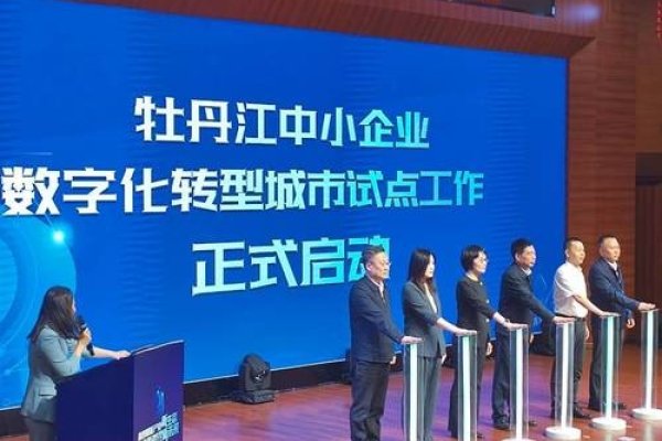 牡丹江网络公司，引领数字化浪潮的先锋力量-猫山树