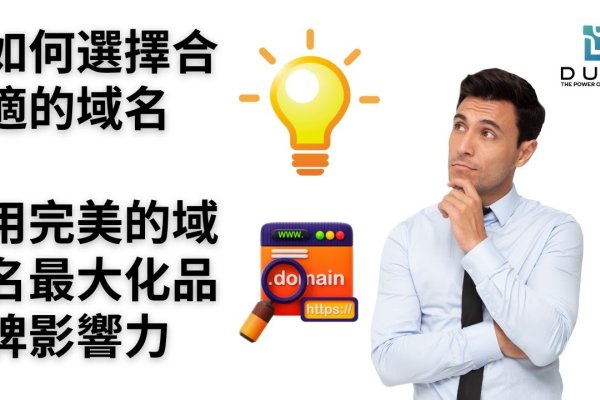 泛域名做排名，策略与技巧-猫山树