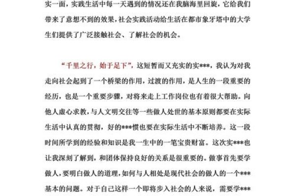 SEO成长心得体会，探索、实践与思考-猫山树