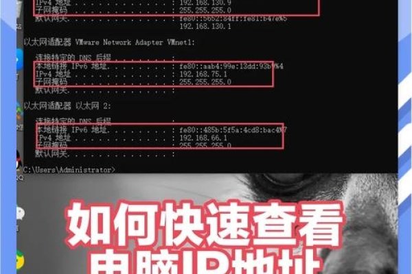 CMD查看自己IP地址的方法-新乐天