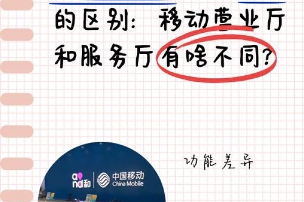 漳州移动及网络公司介绍，服务、营业厅和靓号详情-猫山树