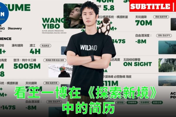 Web技术新星，王一博的探索之旅-猫山树