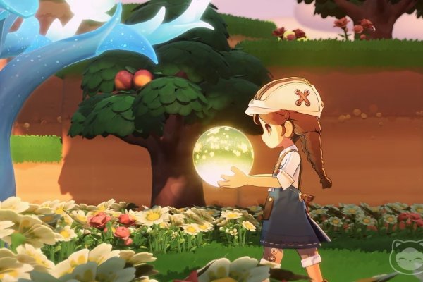 探索星空之旅，星星加速器下载指南-猫山树