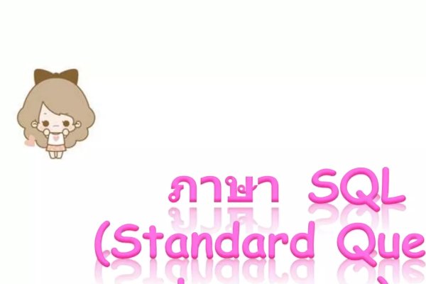 SQL数据库基础知识PPT-猫山树