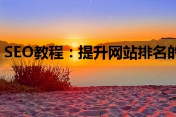 SEO网站排名优化教程，提升网站排名的关键步骤-猫山树