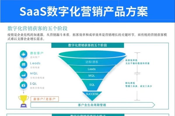 SEO王通科技，探索一流的数字化营销解决方案提供者-猫山树