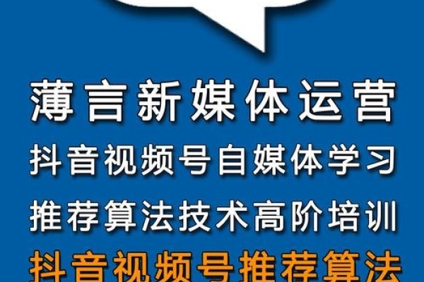 南京SEO推广公司，助力企业网络推广的新篇章-猫山树