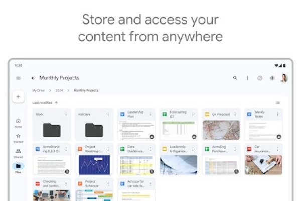 Google谷歌空间下载，探索云端存储与下载的新纪元-猫山树
