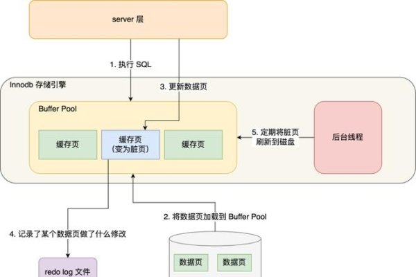 MySQL数据库配置文件的位置详解-猫山树