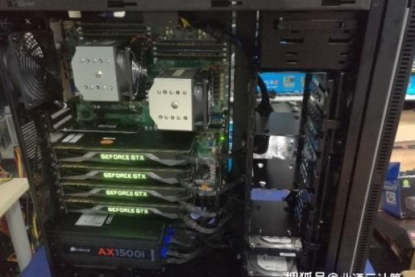 香港VPS主机优惠，企业用户的首选之选-猫山树