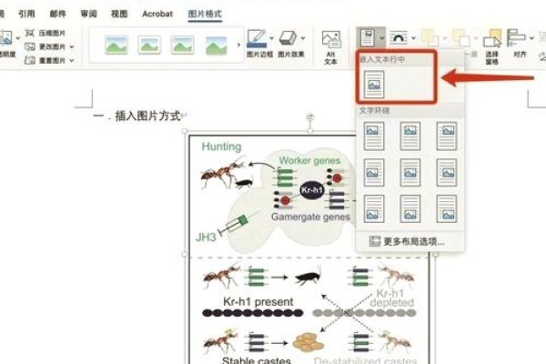 html图片定位技巧及材料准备-猫山树