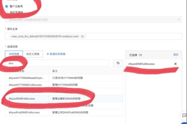 ddns配置（ddns配置教程）-猫山树