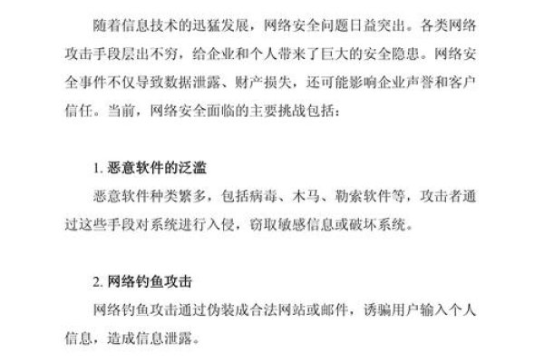 Netty服务器安全防护策略,如何有效防止被攻击-猫山树