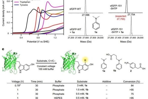 SEO2与KI反应的化学研究-猫山树