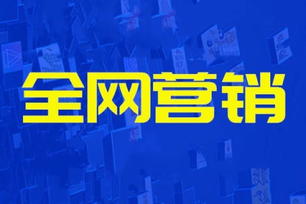 SEO优化公司推荐，哪家专业且性价比高？-猫山树