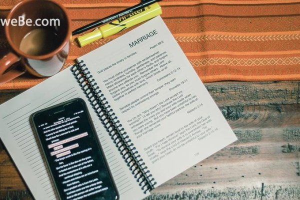 搜索引擎的网站内部优化不包括哪些方面-猫山树