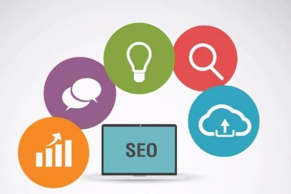 细雨算法详解，SEO优化与网站权重恢复指南-猫山树