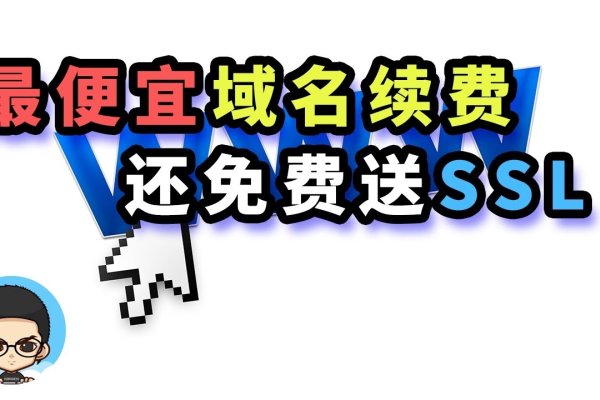 纸质域名证书到付（域名证书要钱吗）-猫山树