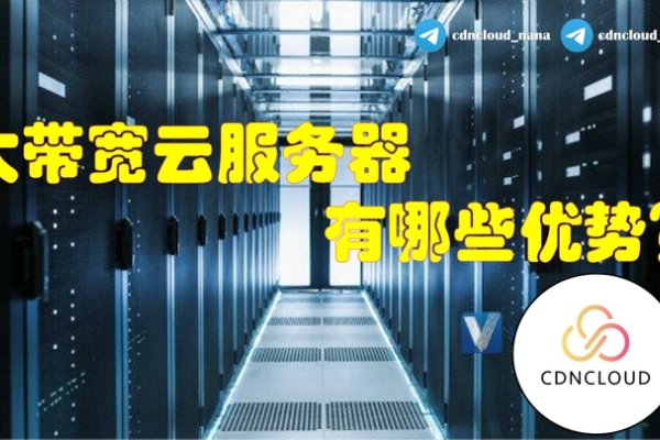 云服务器带宽选择的重要性及其策略-猫山树